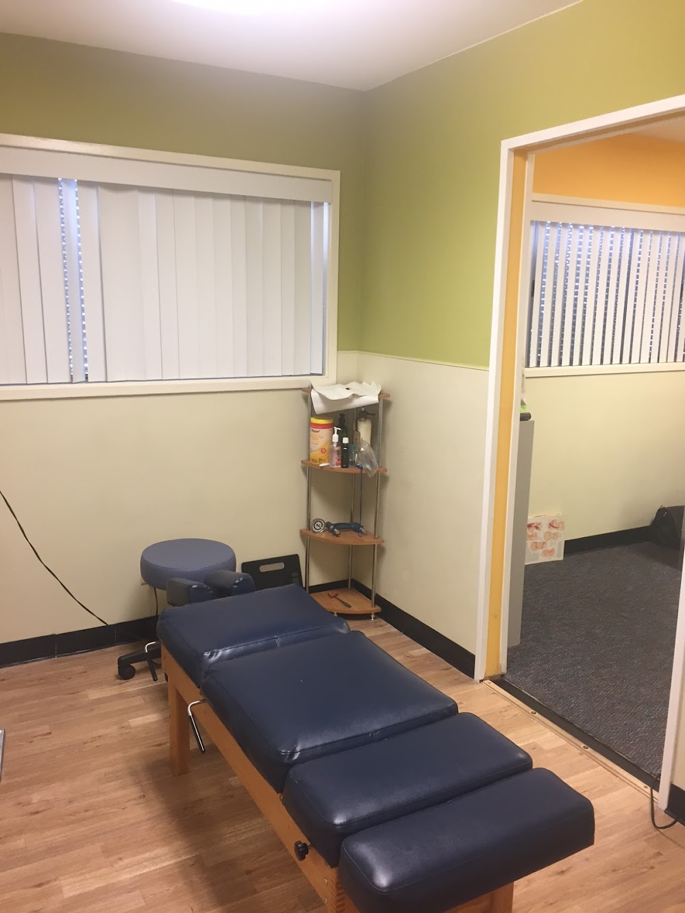 Bay Wellness Center: Theodros Shawl, DC