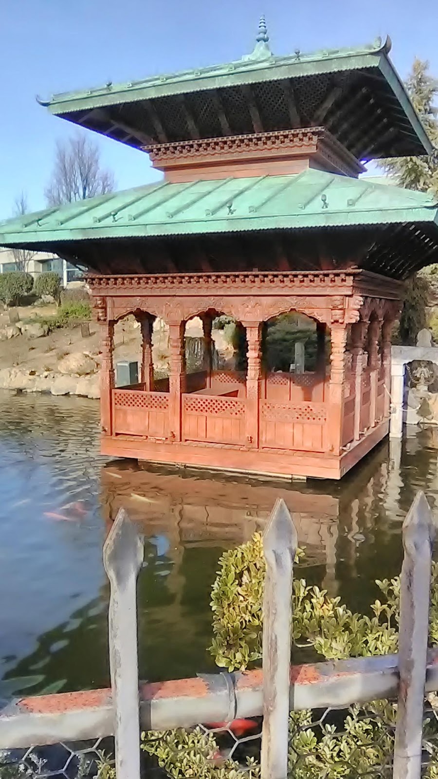 Beautiful Minds Wellness