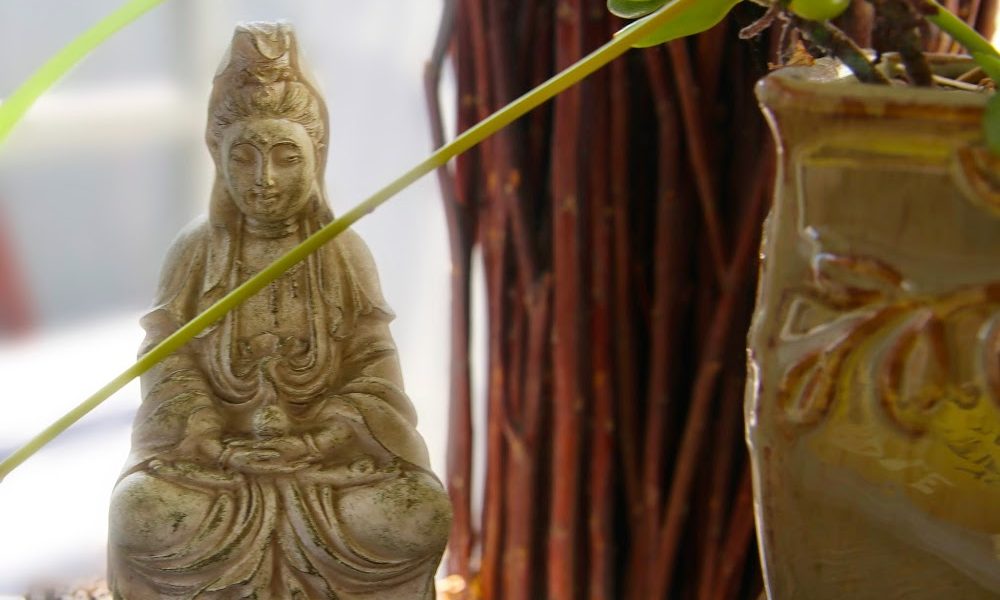 Blue Lotus Center For Health