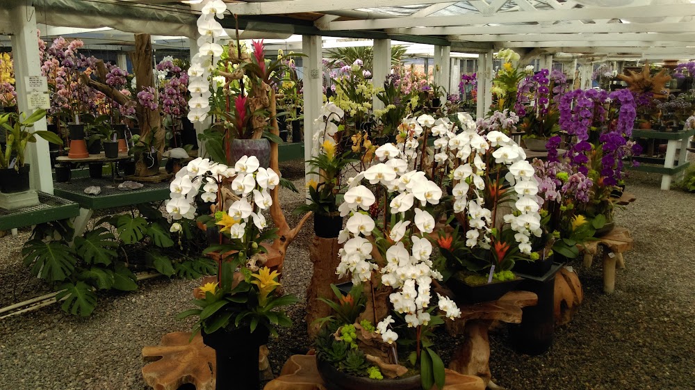Cal Pacific Orchid Farm
