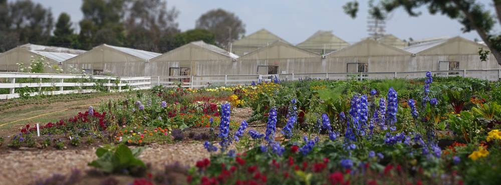 Coastal Roots Farm