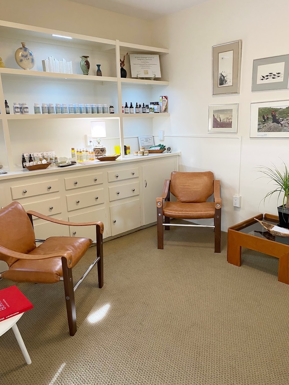 Dresden Holden Body + Wellness