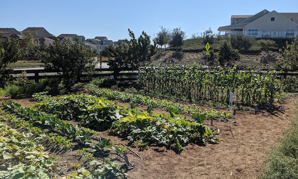 Esencia Farm