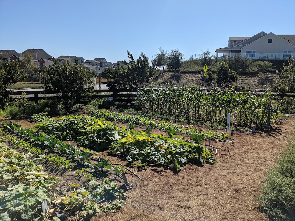 Esencia Farm