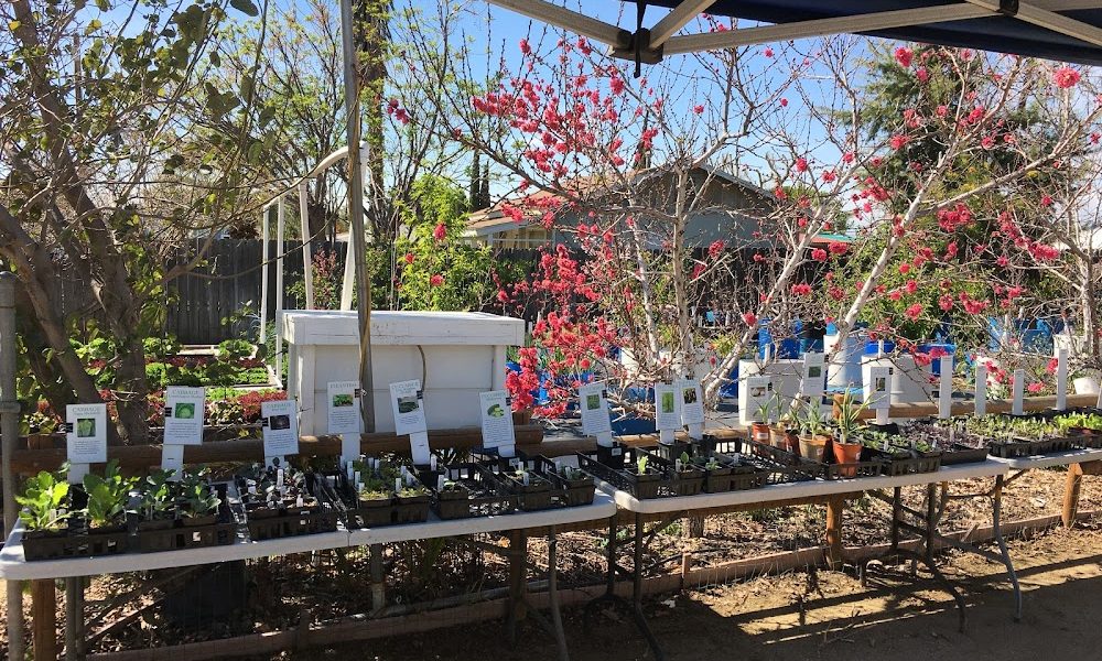Farm on 7th