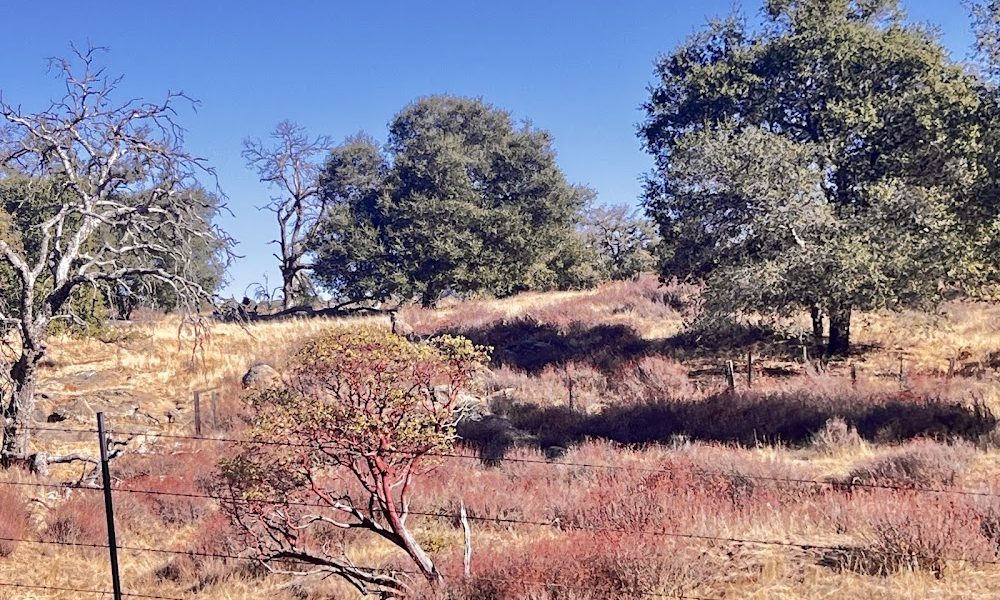 Fluegge Egg Ranch – Crown Hill Lane