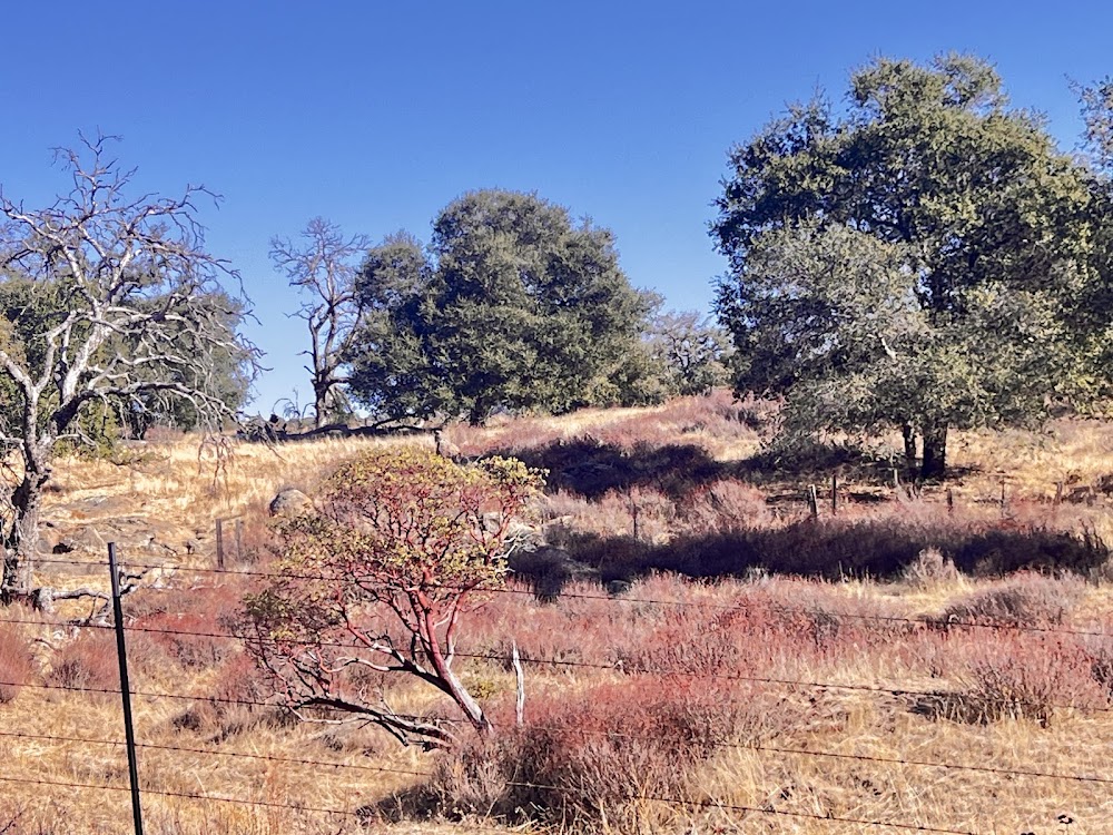 Fluegge Egg Ranch – Crown Hill Lane