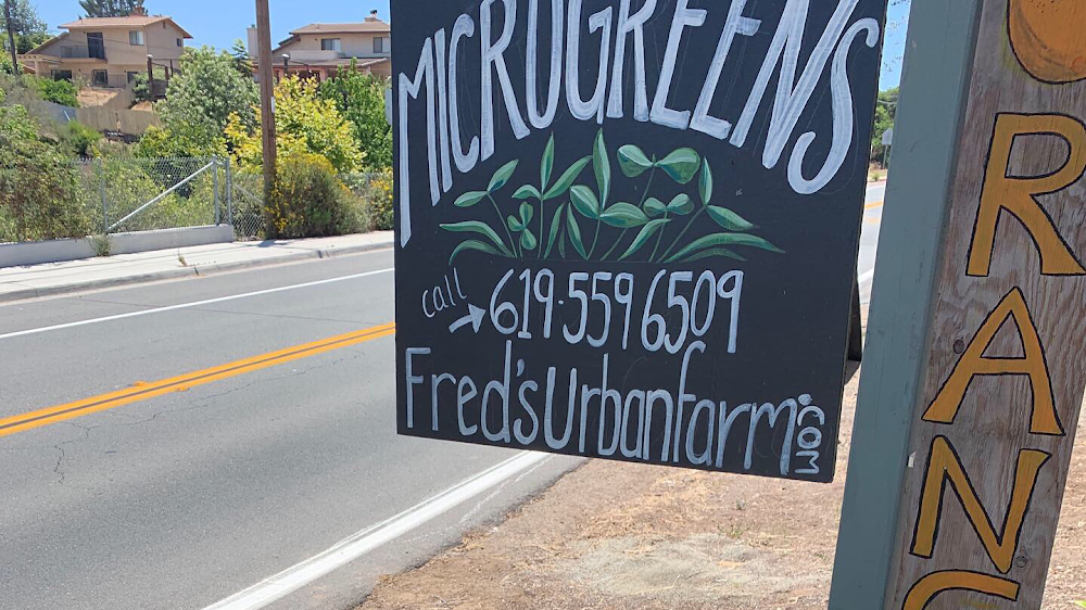 Fred’s Urban Farm- Microgreens