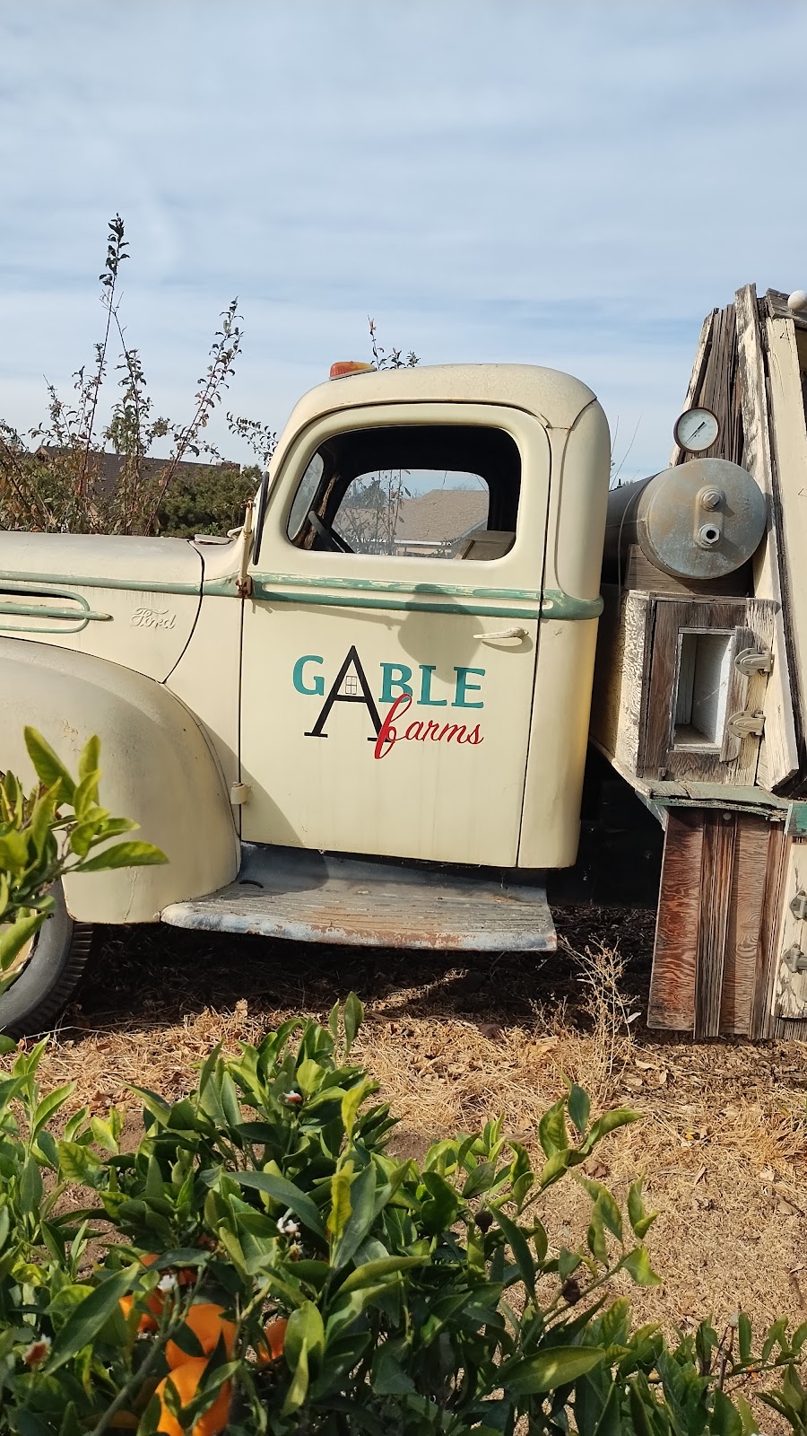 Gable Farms