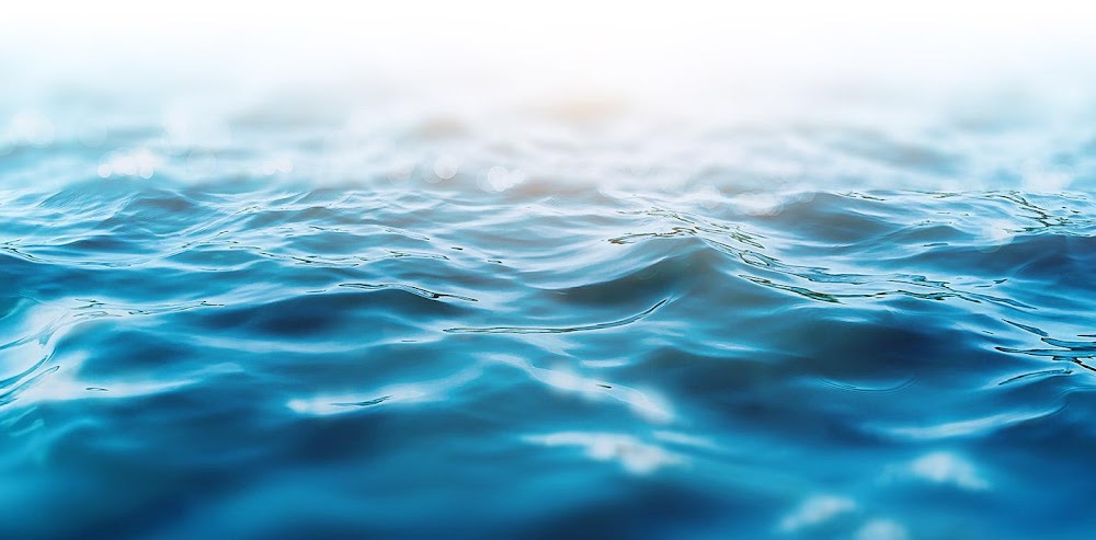 GenerateShen Wellness