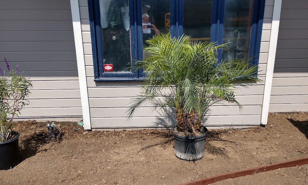 Growing Healthy Together