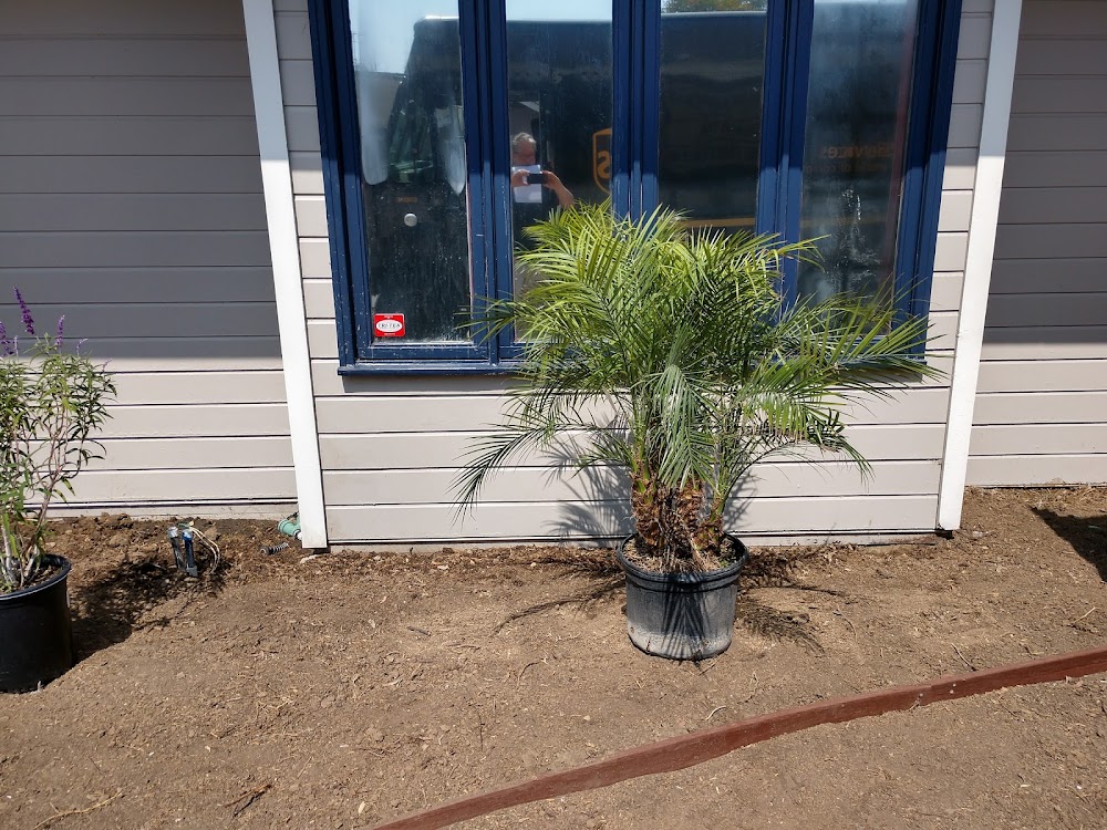 Growing Healthy Together