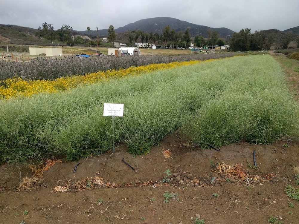 Irvine Ranch Conservancy Native Seed Farm