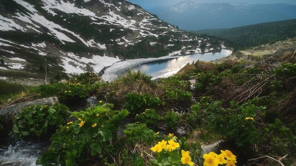 Julian Wellness Center