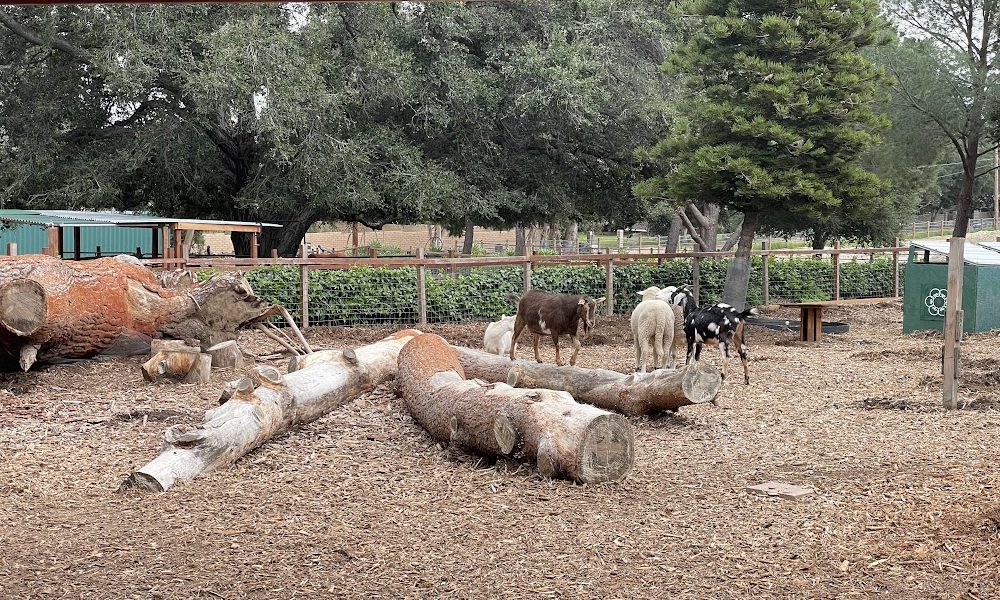 Kindred Spirits Care Farm