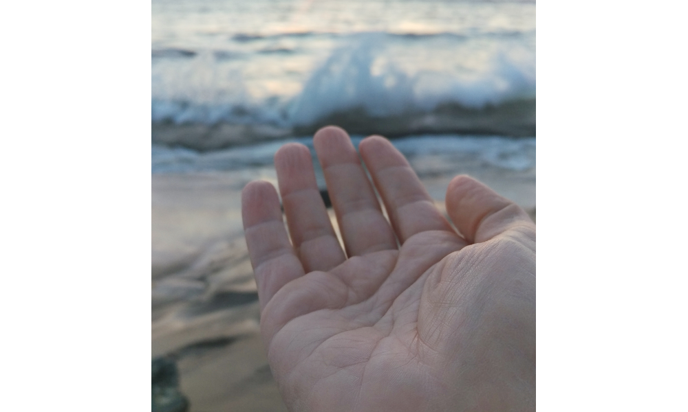 La Jolla Holistic Center