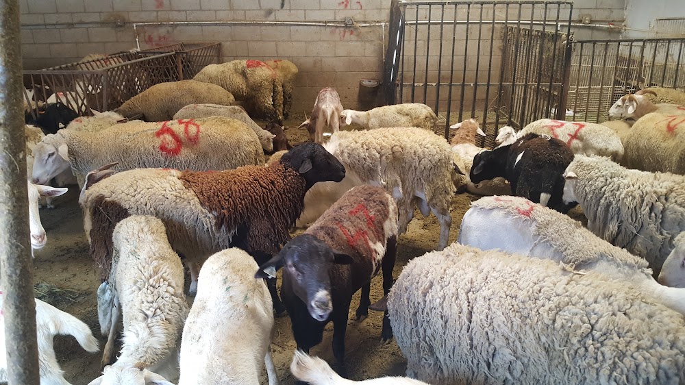 La Quail Farm