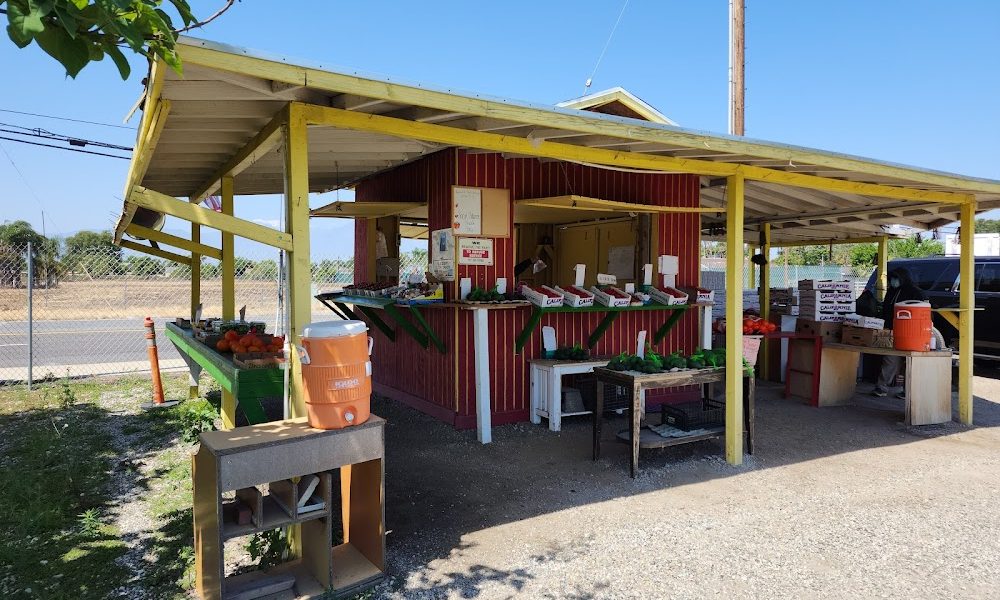Maggies’ Strawberry Farm