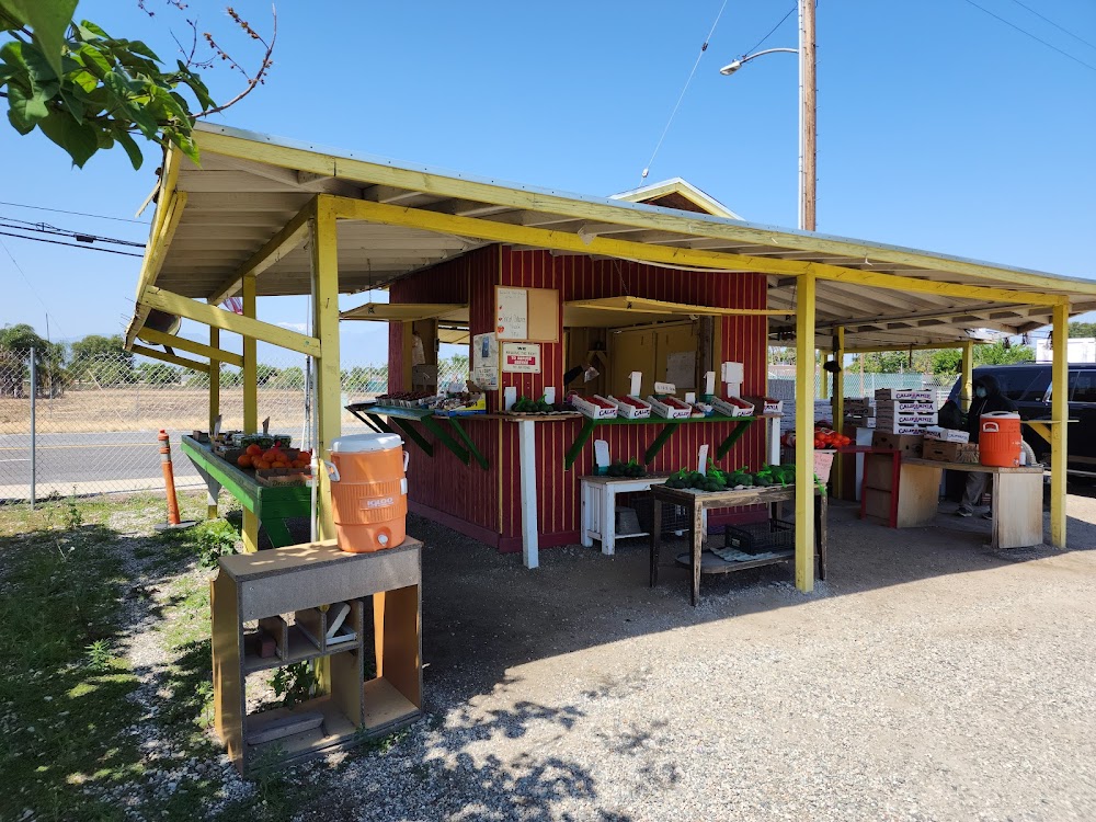 Maggies’ Strawberry Farm
