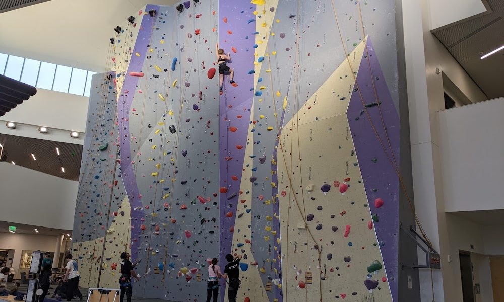 Mashouf Wellness Center