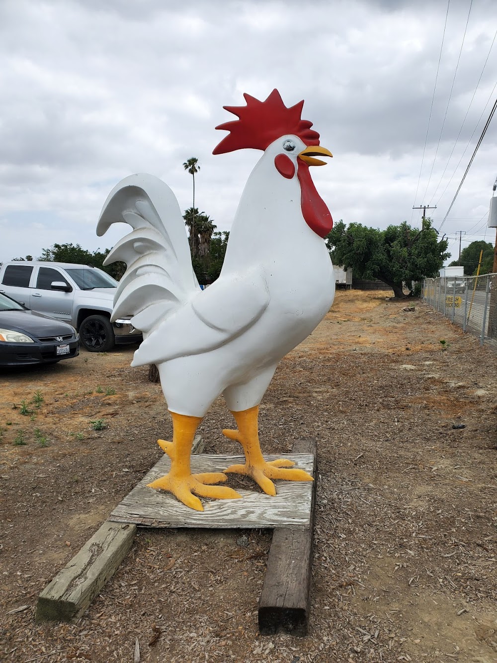 Maust’s California Poultry