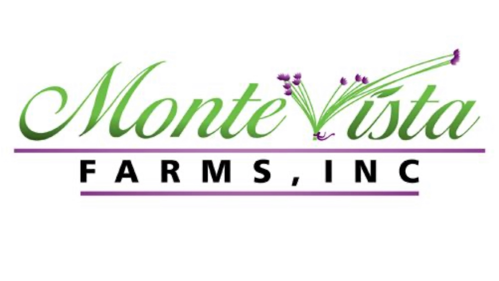Monte Vista Farms Inc
