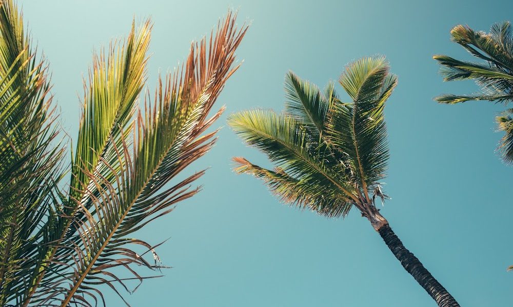 Mosaic Integrative Medicine