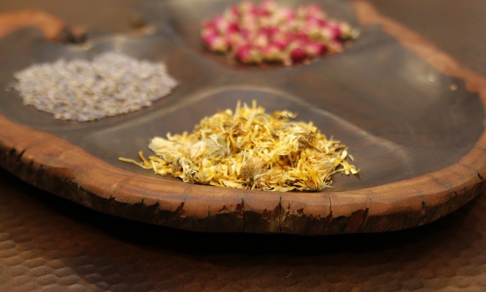 OC Whole Family Wellness