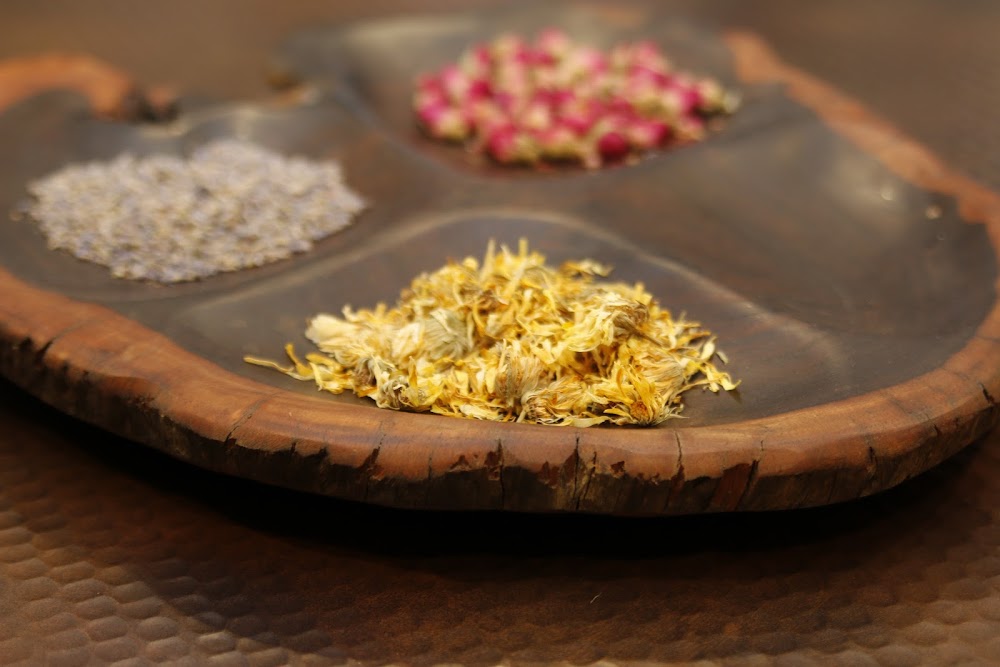 OC Whole Family Wellness