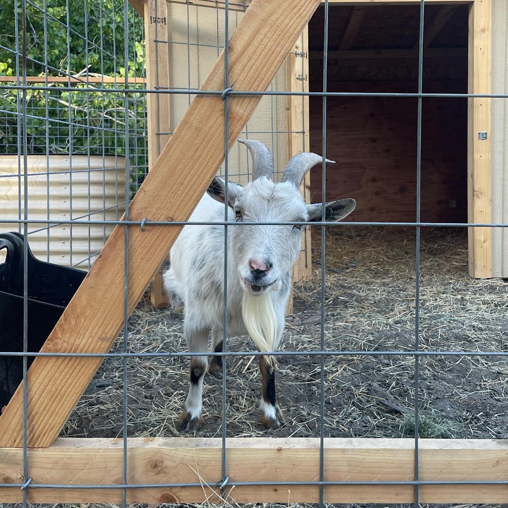 Olivenhain Farms