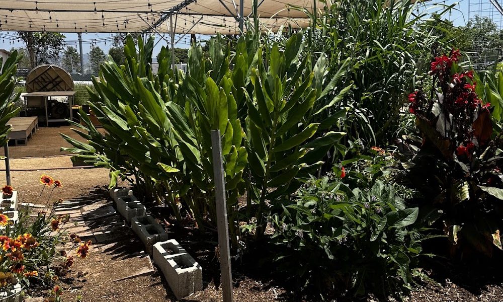 Orange County Great Park Farm + Food Lab