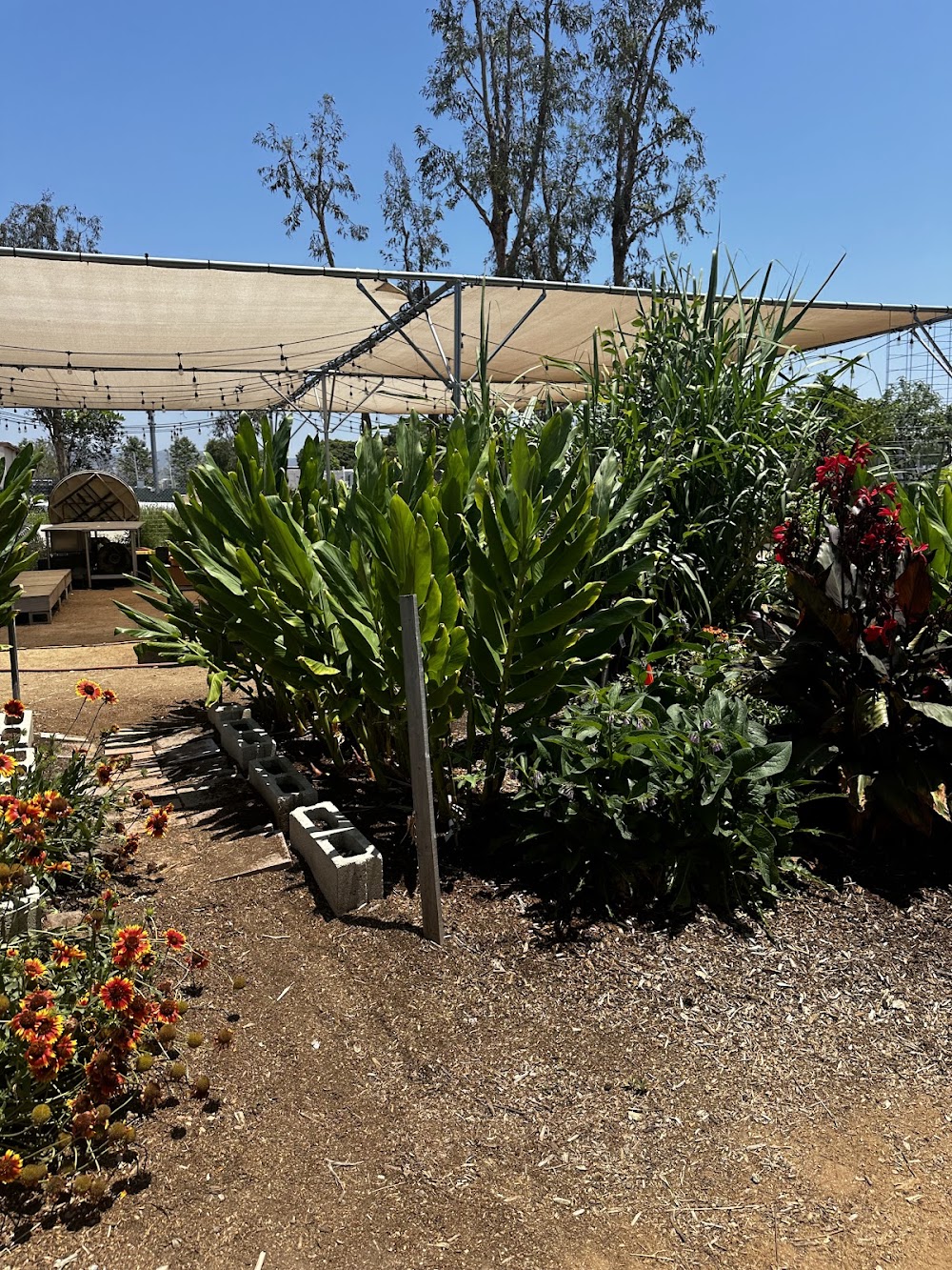 Orange County Great Park Farm + Food Lab
