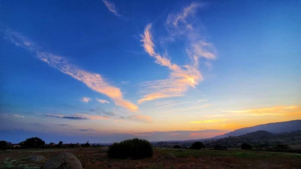 Peace and Wellness Center