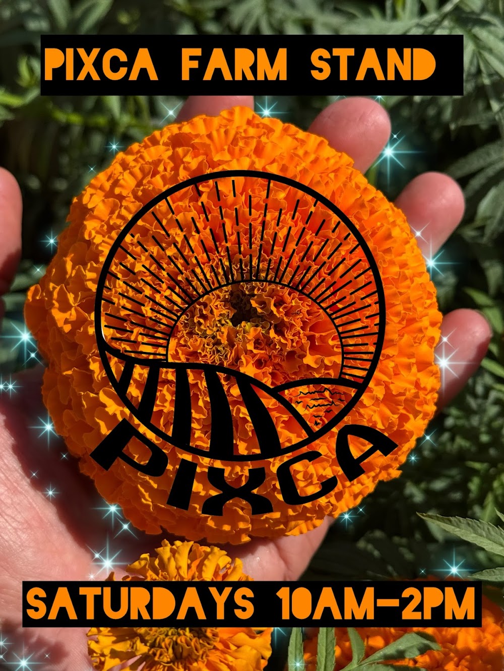 Pixca Farm