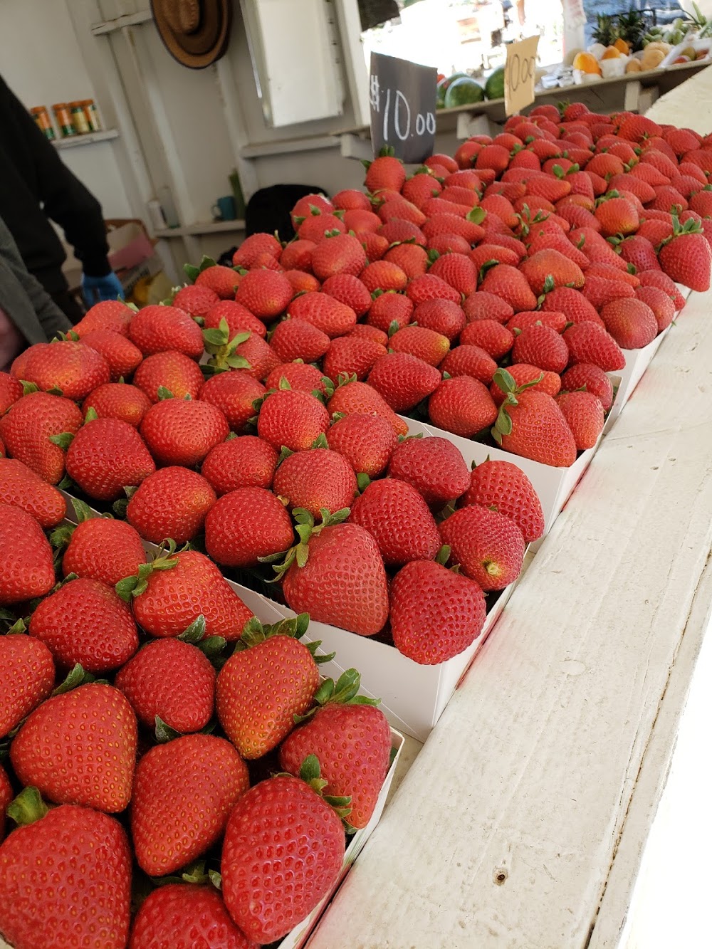 Rafael Strawberry Farm