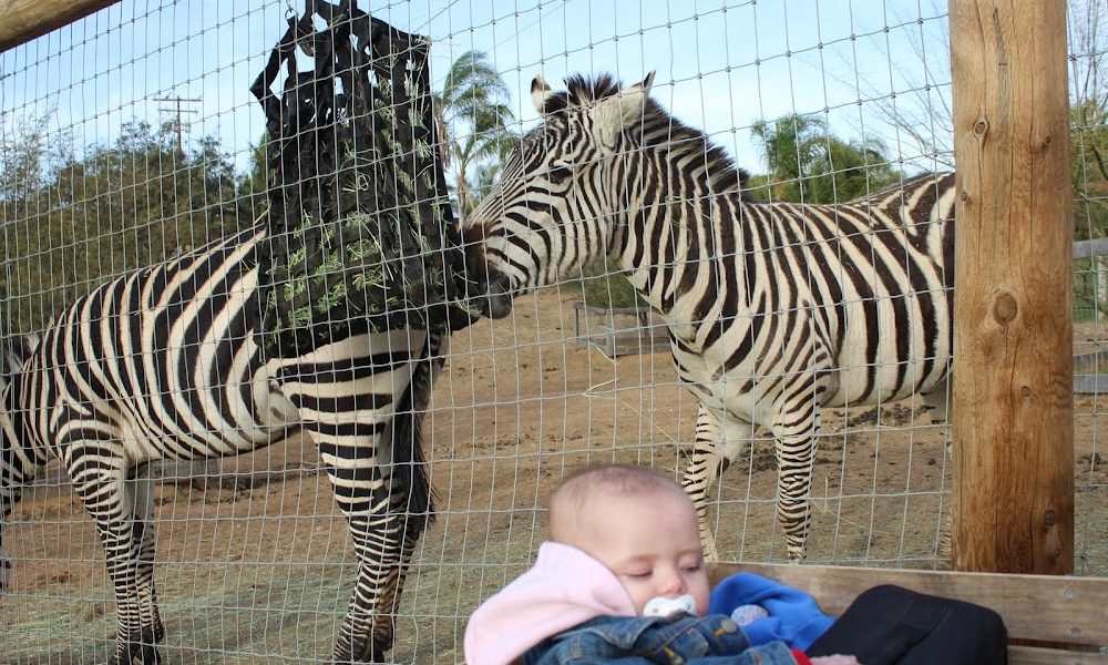 San Diego Animal Sanctuary and Farm™