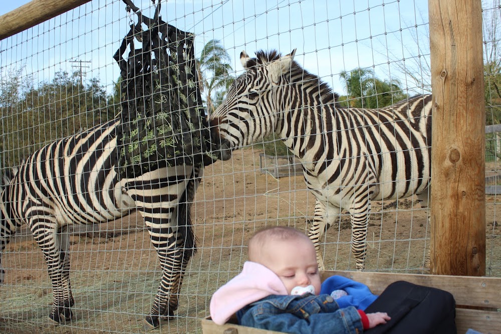 San Diego Animal Sanctuary and Farm™