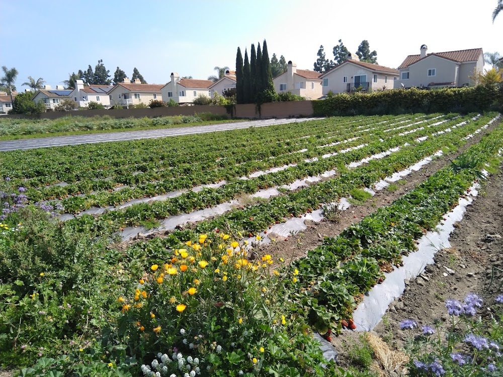 Smith Farms