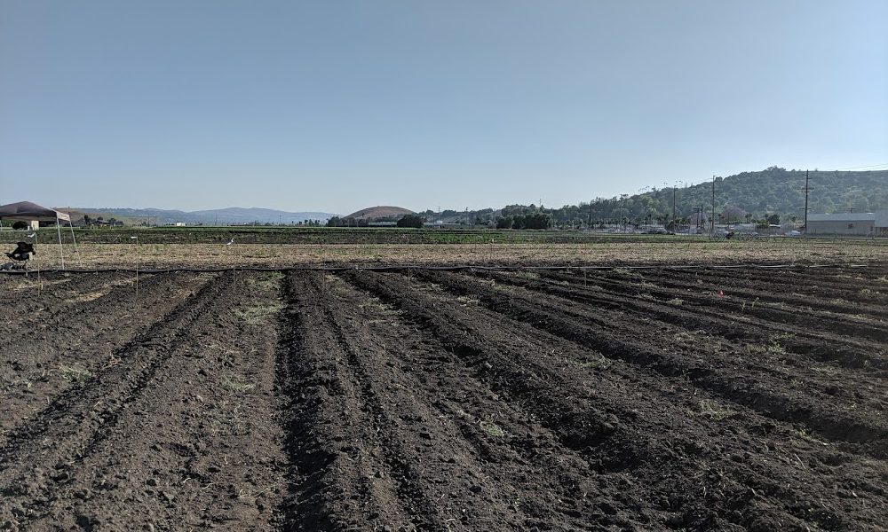 Spadra Farm