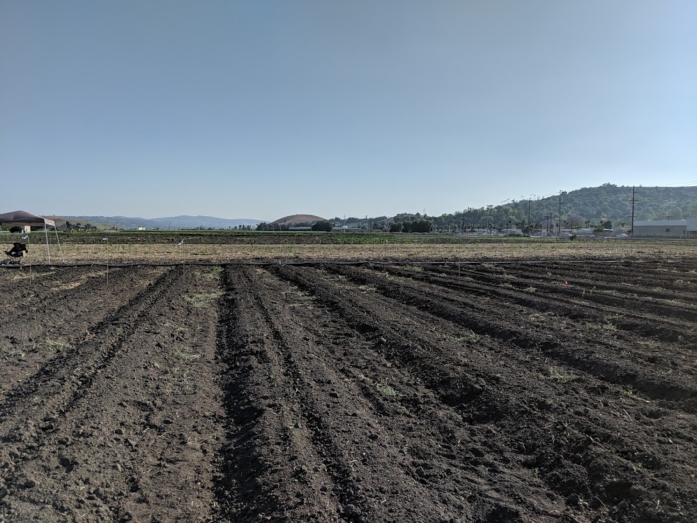 Spadra Farm