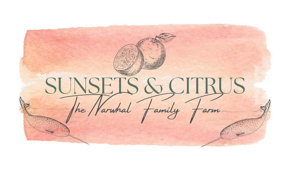 Sunsets & Citrus at Narwhal Family Farm