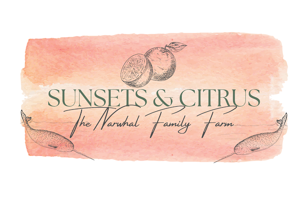 Sunsets & Citrus at Narwhal Family Farm