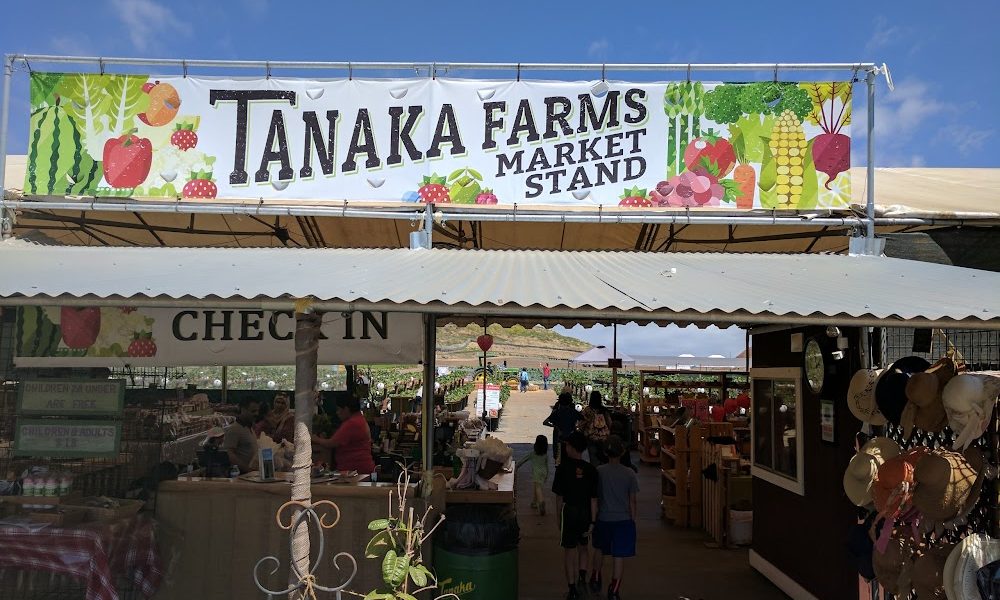Tanaka Farms