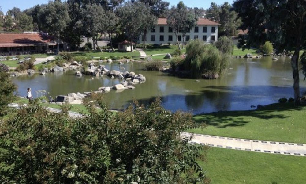 TERESA ONAN (One Place Holistics)