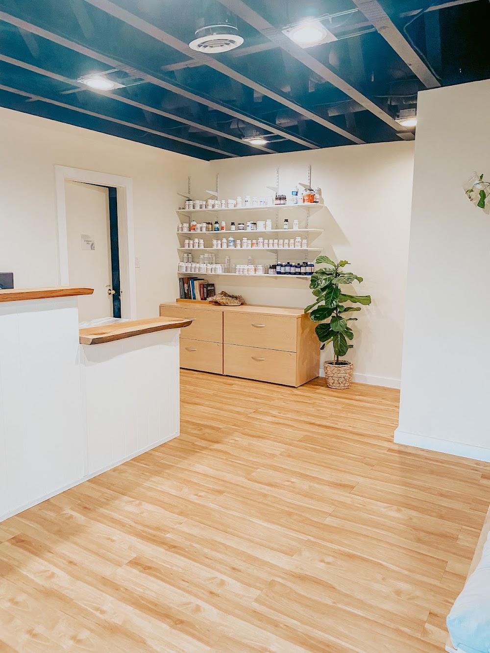 The Practice Integrative Health