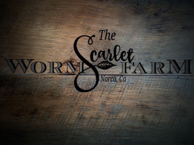 THE SCARLET WORM FARM