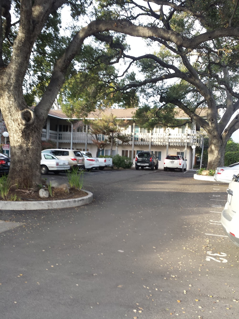 The Wellness Way Santa Barbara