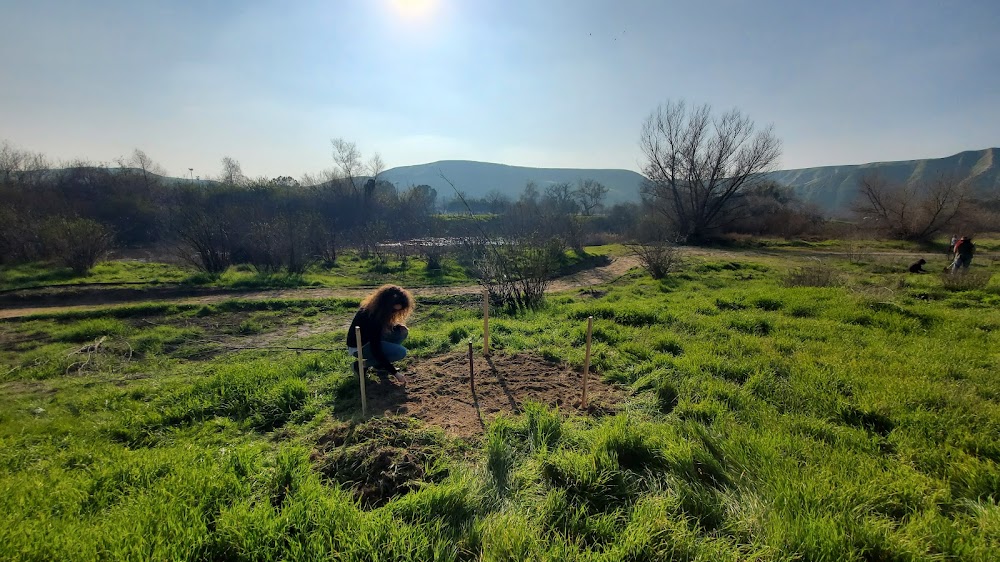 White Wolf Wellness Foundation