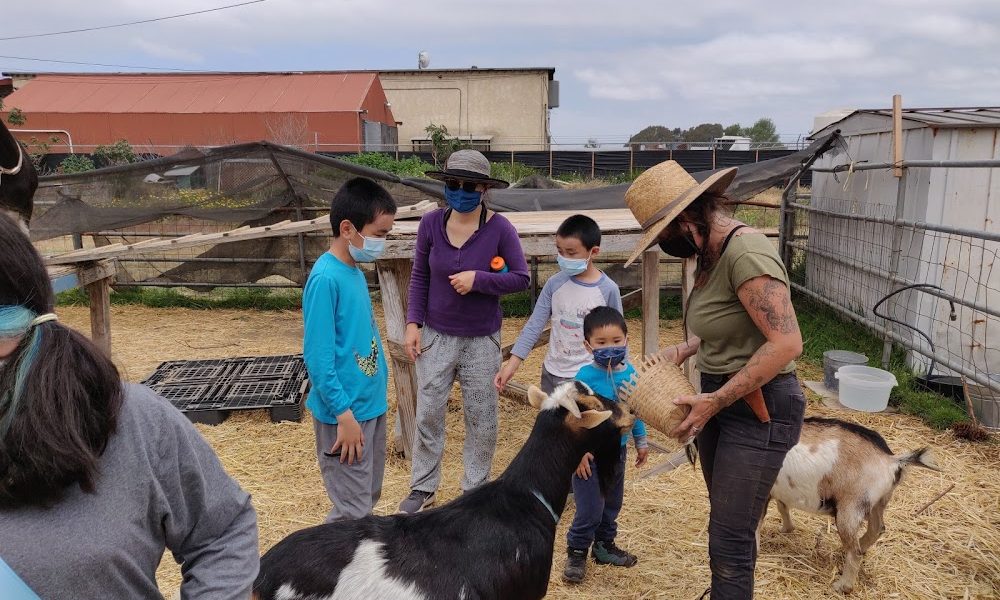 Wild Willow Farm & Education Center