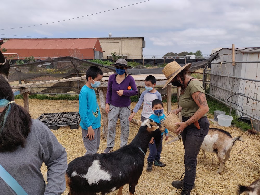Wild Willow Farm & Education Center